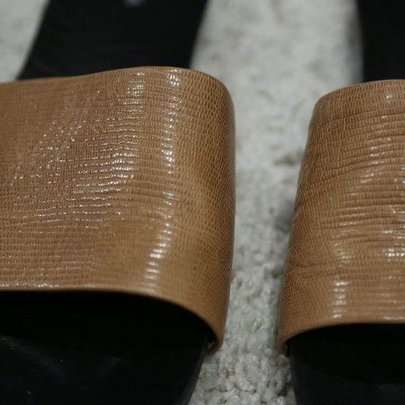 Aska Collection Camel Lizard Ellery Slides - Picture 9 of 11